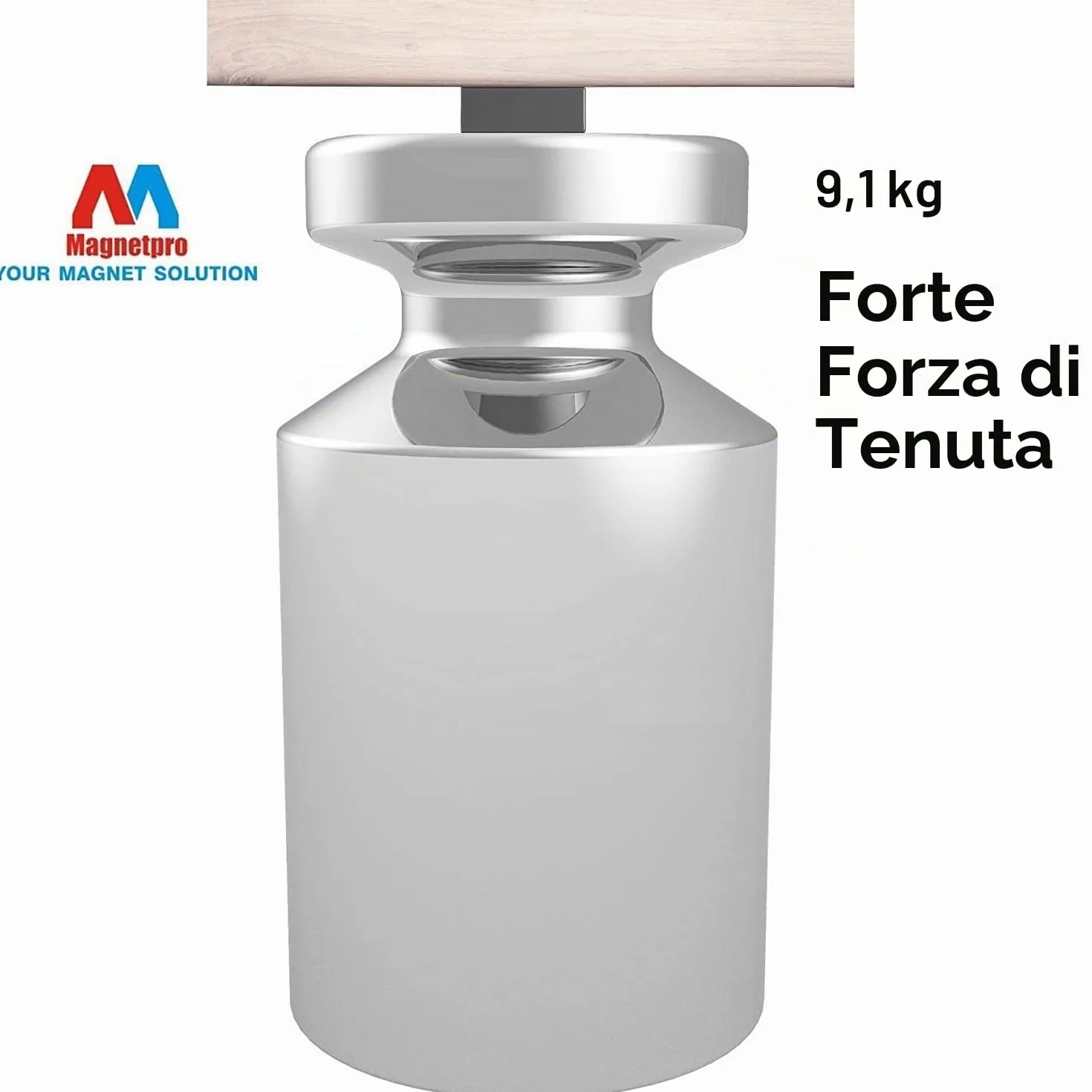 Magnetpro Magneti Rettangolari Rivestiti in PP 9,1 kg 5,1 x 1,9 x 0,8 cm Antiruggine Impermeabile