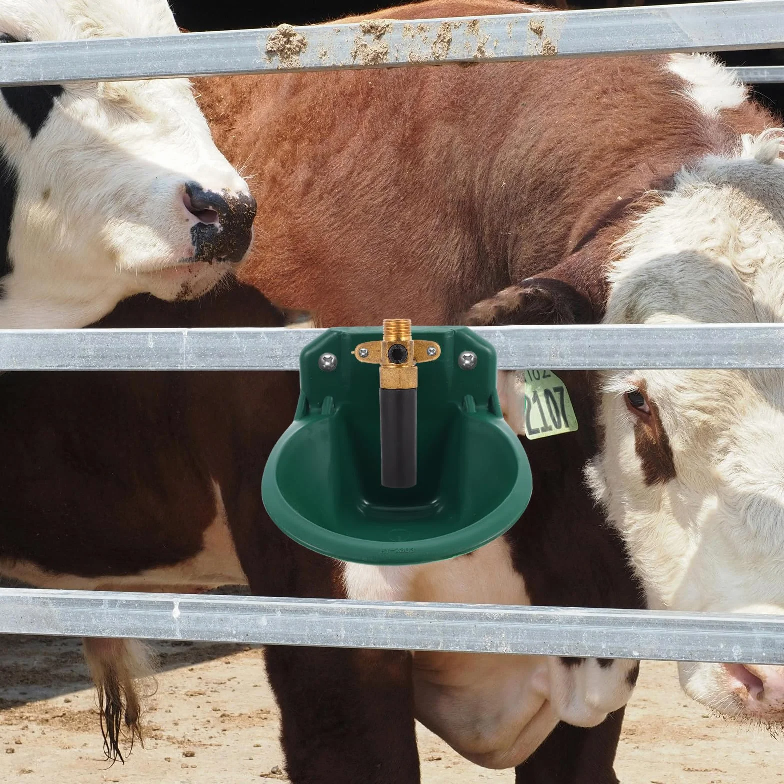 Levemolo Valvola Automatica per Abbeveratoio Bestiame Raccordo Erogatore Acqua, Ricambio per Ciotole per Bovini, Suini e Ovini in Impieghi Gravosi