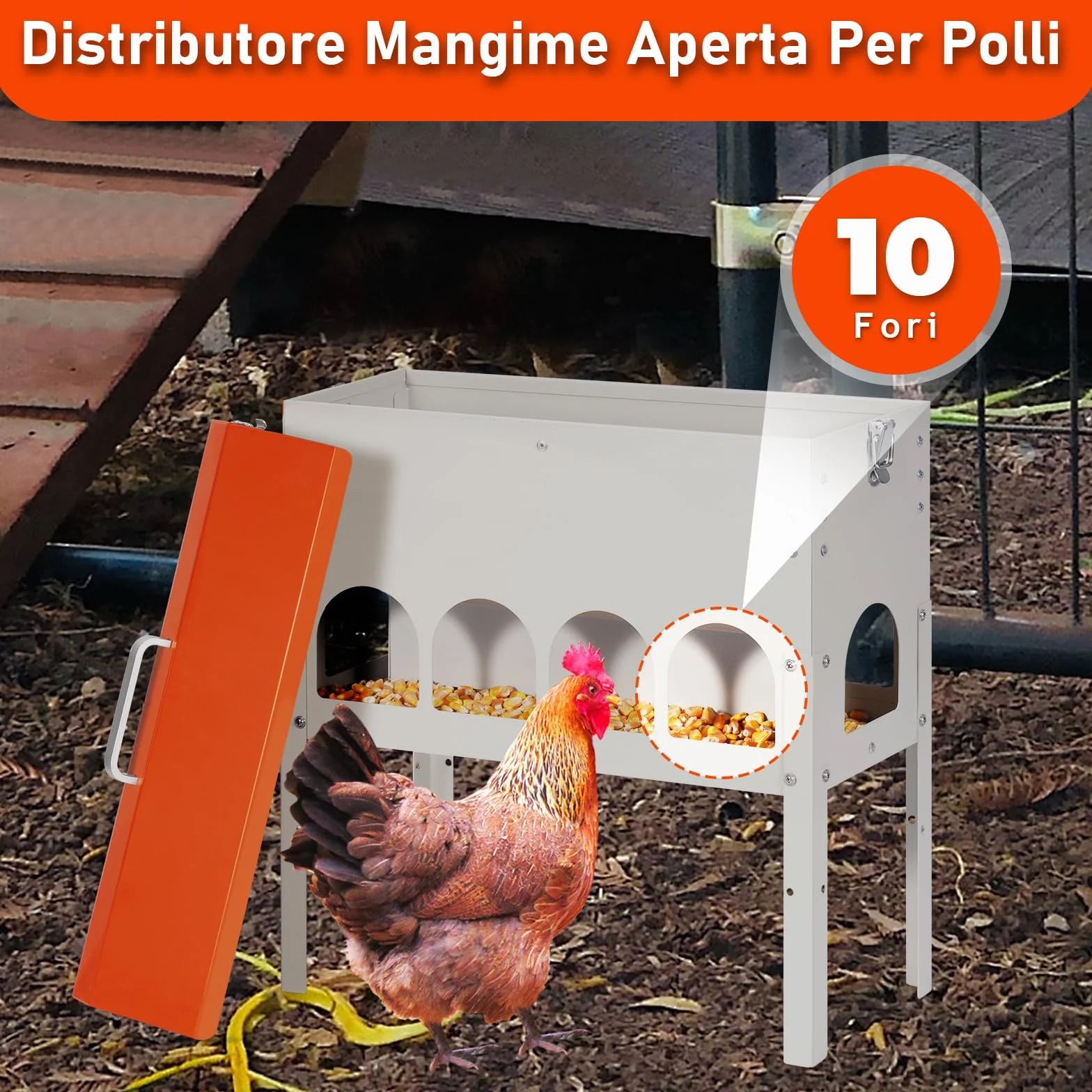 Mangiatoia Automatica Per Galline, 5kg, Distributore Automatico Di Mangime Per Polli, Alimentatore Per Anatre E Piccioni, Può Essere Sollevato, Antispreco, Accessori Per Pollame