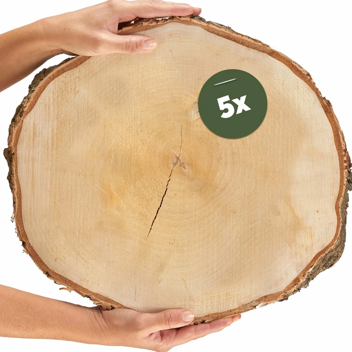 Dischi di legno grandi da 35 cm (33-37 cm) di diametro per lavori fai da te e decorazioni - Confezione da 5 dischi di legno di betulla rotondi - Dischi di betulla in legno naturale come pannelli