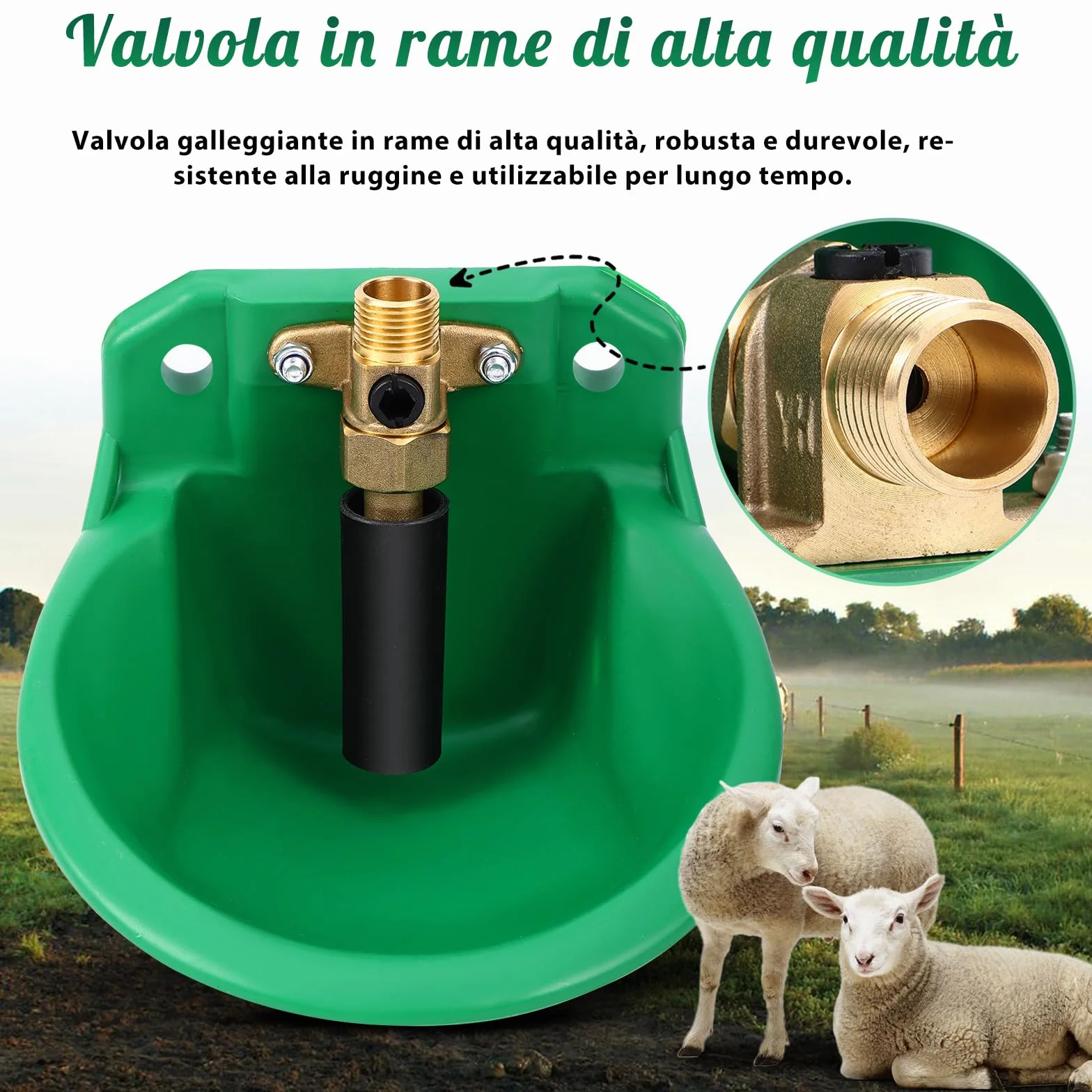 Piscina automatica per pecore, bevitori da bestiame con fori di scarico, approvvigionamento idrico automatico per cavalli, bovini, pecore, suini e cani, beve di salice, verde