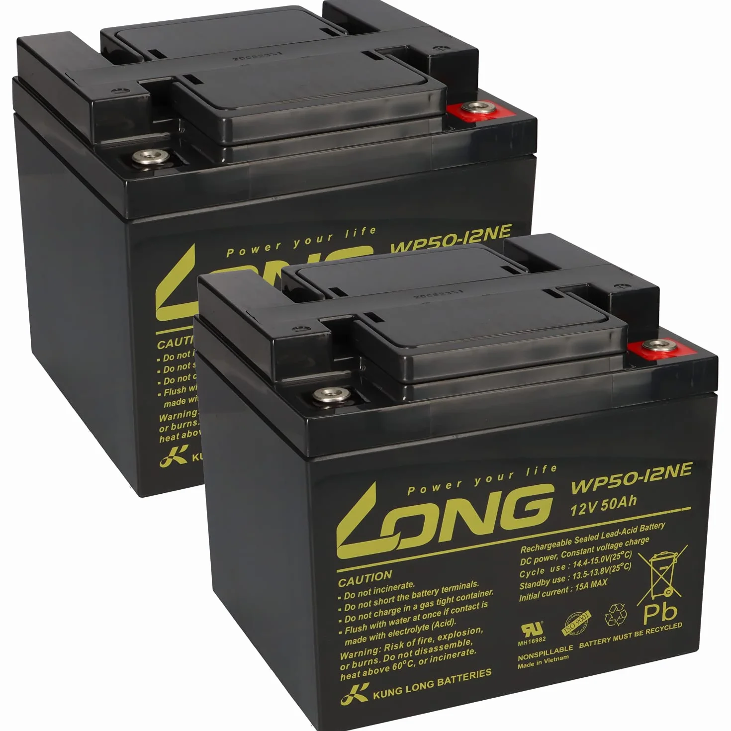 2 batterie al piombo AGM 12 V/50 Ah – WP50 – 12NE senza effetto memoria, compatibili con MP50 – 12C, 12LCP-50, REC50 – 12I
