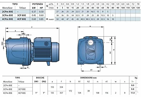 ELETTROPOMPA 1 HP PEDROLLO 2-4 CP CENTRIFUGA MULTIGIRANTE 4CPm 100-C