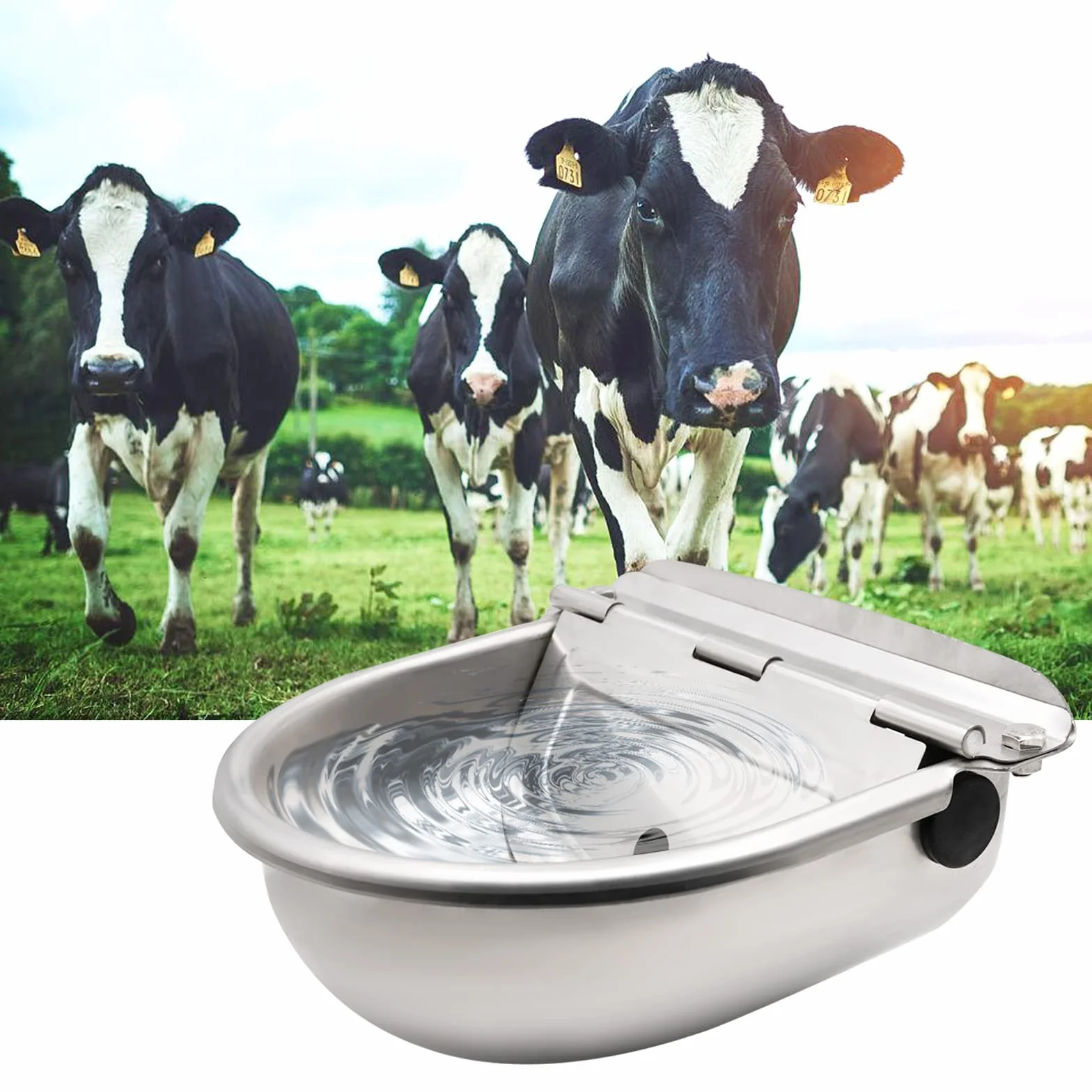 Abbeveratoio Automatico per Bovini In Acciaio Inossidabile con Valvola in Plastica ​da 1/2 Pollici, Abbeveratoio per Capra, Pecore, Cani e Cavalli
