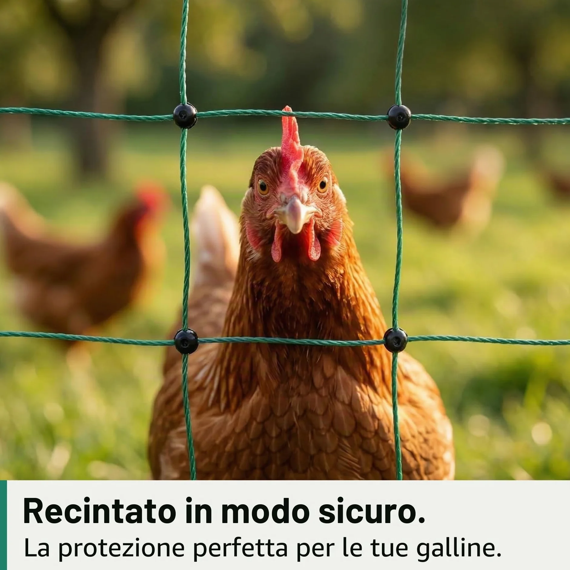 Agrarzone Rete per pollame Classic elettrificabile, Doppia Punta, Verde 50 m x 112 cm - Robusta per polli, Cani e Gatti - Facile da installare con 15 Pali e Kit di Riparazione