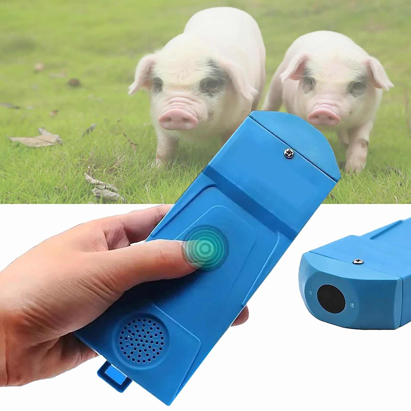 Rilevatore di Gravidanza Veterinario, Scannatore Ultrasuoni A-Modale Portatile per Suini, Agnelli, Capre, Macchina Ecografica Veterinaria Portatile per Animali da Fattoria